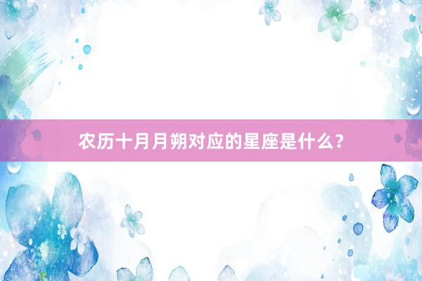 农历十月月朔对应的星座是什么?