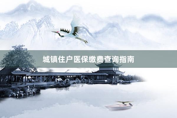 城镇住户医保缴费查询指南